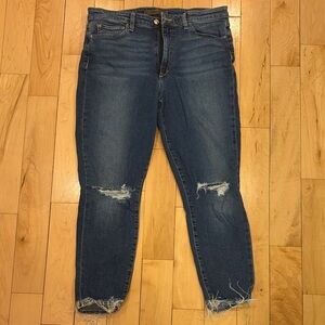 Joe's Jeans Classic Blue Ripped Skinny Jeans
